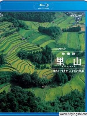 完美搭档